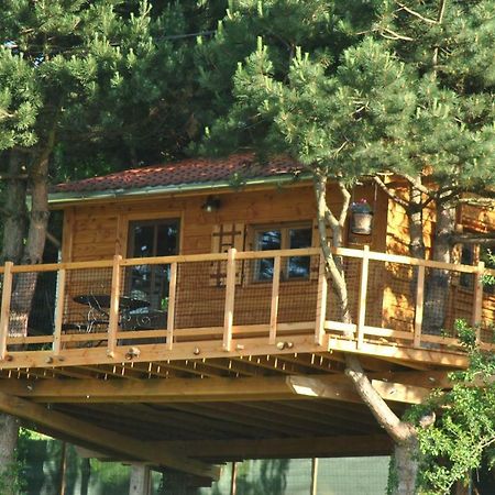 L'Etournelle - Cabane Perchee Chaussan エクステリア 写真